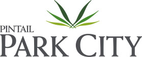 Pintail Infracon logo